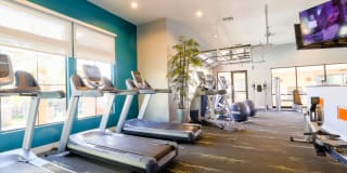 Liv Ahwatukee Gallery 14