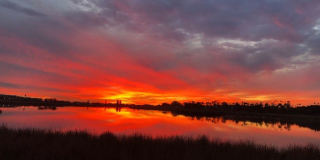 Waterfront Condo on the Buena Vista Lagoon - 5 mins from Carlsbad Village! Gallery 5