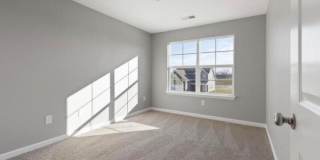 8165 Driftwood Loop Gallery 9