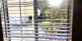 Single Family. 3-bed Home - Desireable Neighborhood! Gallery 43