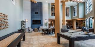 Arcadia 331 Gallery 10