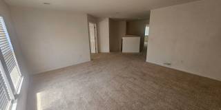Amazing Home in NE Fort Collins Gallery 16