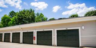 Aliso Briar Forest Gallery 17