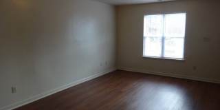 919 Pedro Drive Gallery 3