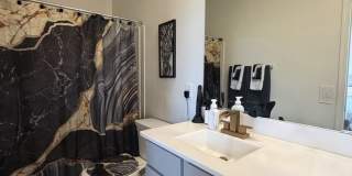 Gorgeous 3 Bedroom 2 Bath with modern upgrades in the home! Gallery 15