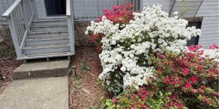 325 Little Rock Court Gallery 1