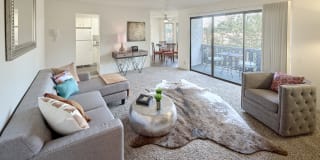 Forest Hill Village Gallery 21