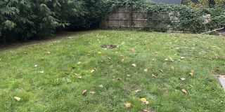 Pre-Leasing Now! 7 Bed 3 Bath with Bonus Room! Gallery 19