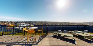Vive Ballard Gallery 18
