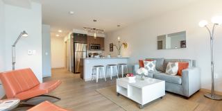Zephyr Gallery 4