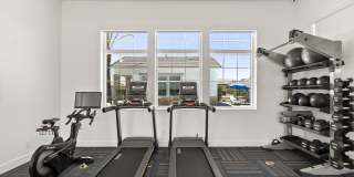 Zora Encanto Gallery 17