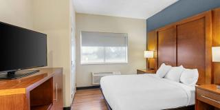 Buffalo - Airport Gallery 4