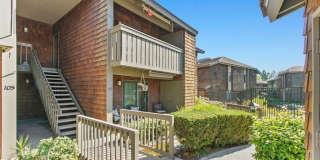 33852 Del Obispo Street Gallery 27