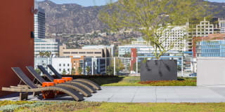 The Brand Gallery 16