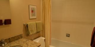 Long Winter Lease!  Fully Furnished, on bus route! Remodeled Kitchen and Baths! Gallery 1