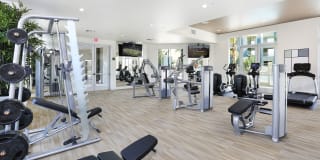 Mosaic Apartments Gallery 8