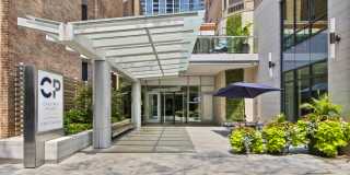 Chestnut Place Gallery 8