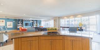 Domain at Kirby Gallery 65