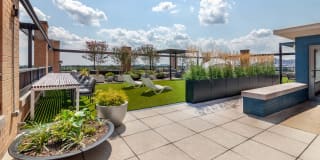 The Reserve at Clarendon Centre Gallery 33