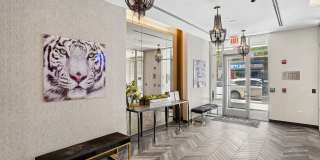 Luxe on Chicago Gallery 53