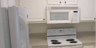 4616 Palmbrooke Circle Gallery 9