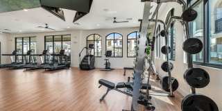 Solara Vista Gallery 38