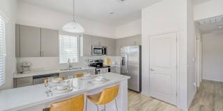 Brioso at the Bridges Gallery 12