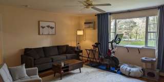 47 Jacqueline Rd. Gallery 1