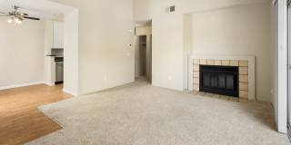 Lantern Cove Gallery 42