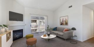 Sycamore Village Gallery 2