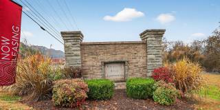 Blackberry Creek Gallery 19