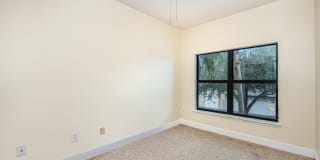 6470 Borasco Drive Gallery 11