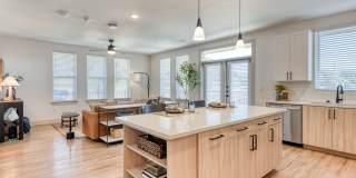 The Cortesin at Eilan Gallery 15