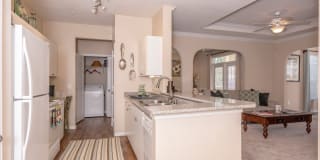 Harbor Cove Gallery 20