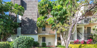 1645 SPOONBILL Lane Gallery 1
