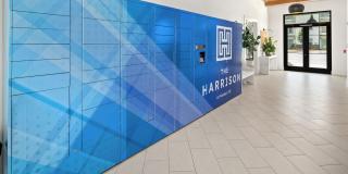 The Harrison Gallery 11