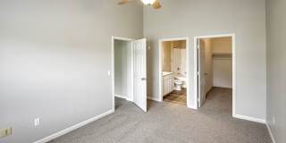 Autumn Grove Gallery 36