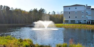 Carillon Woods Gallery 27