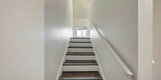 3102 Cedar Gallery 27