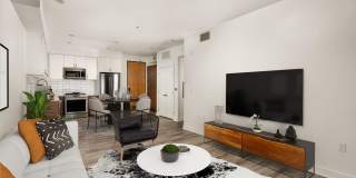 Ovelo Hollywood Gallery 4