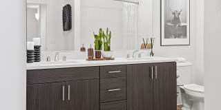 Palomar Station Gallery 10