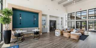 Ltd. Med Center Gallery 19