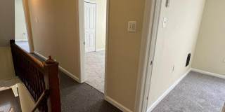 42 HOLLAND Avenue Gallery 21