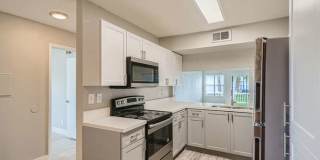 Spectra at Tamarac Gallery 2