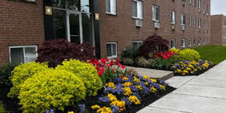 Emerson Flats Gallery 1