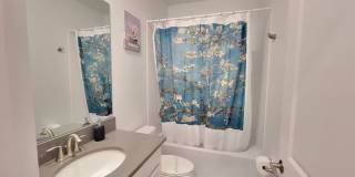 1151 Kingsbarn Street Gallery 23