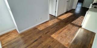 196 Malvern Street 2 Gallery 6