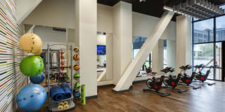 The Hamilton Gallery 26