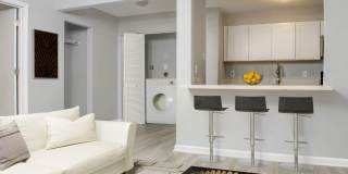 Carmel Spring Gallery 4