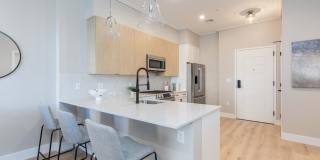 Cadence on Leo Gallery 5